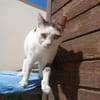 Nina, freundlich und etwas schüchtern