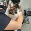 Joey sucht neues Zuhause