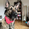 Charmante Lenda sucht dich