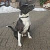 Lars - der Temperamentvolle sucht Geduld