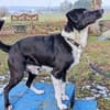 Lars - der Temperamentvolle sucht Geduld