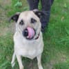Ares, su. liebevolles Zuhause