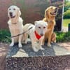 tolle offene hübsche Evi auf PS 90473