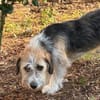 Tusko - freundlich u. lieb