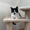Blinde Bonita aus dem Tierschutz