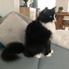 Nami sucht ein neues Zuhause
