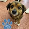 Charly sucht seine Lieblingsmenschen!