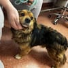 Charly sucht seine Lieblingsmenschen!