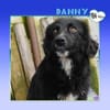Danny - wo sind seine Menschen?
