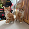 Martin et Bruno