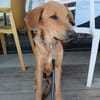 Loki, je voudrais faire connaissance