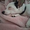 Betsy, la mère tranquille