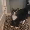 Sammie