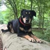 MYLO sucht neues Zuhause