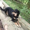 MYLO sucht neues Zuhause