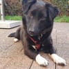 NYX -Klein, liebenswert und charmant-