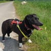 NYX -Klein, liebenswert und charmant-