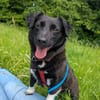 NYX -Klein, liebenswert und charmant-