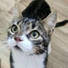 ÄFFCHEN - auf der Suche nach Abenteuern!