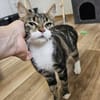 ÄFFCHEN - auf der Suche nach Abenteuern!
