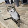 ÄFFCHEN - auf der Suche nach Abenteuern!