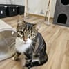 ÄFFCHEN - auf der Suche nach Abenteuern!