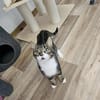 ÄFFCHEN - auf der Suche nach Abenteuern!