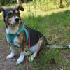 Diana; lustig und aufgeweckt