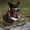 Diana; lustig und aufgeweckt