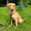 Buffy wartet auf eine neue Chance