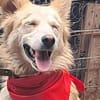Ronja suche Menschen mit Herz