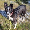 Talvi - hat Sonne im Herzen