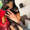 🐾 Lucky sucht sein Für-immer-Zuhause 🐾