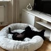 Bubi sucht sein Für-Immer-Zuhause 🐾