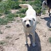 💙Balou💙 sucht ein schönes Zuhause