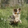 Chup - braucht Zeit und viel Liebe!