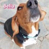 Bella - freundlich und sozial