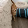 Jamie sucht ein Zuhause