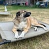 Rey - Königin sucht Hofstaat