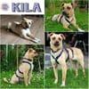 KILA -menschenbezogen & verträglich-