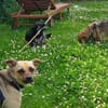 KILA -menschenbezogen & verträglich-