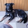 Cora sucht Lebensaufgabe auf einem Hof