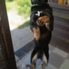 Cora sucht Lebensaufgabe auf einem Hof