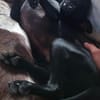 Tommy, Neuanfang gesucht