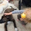 DAFNE 💚💚💚sucht Für-immer-Zuhause