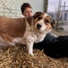 Babette Mix Hündin 4,7 Jahre in 72587