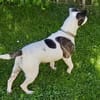 IZZY ♥ Unkompliziert & Lieb  in DE