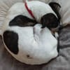 IZZY ♥ Unkompliziert & Lieb  in DE