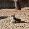 BABOUCHE et BABETTE