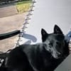 AIKO